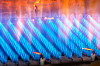 Memus gas fired boilers